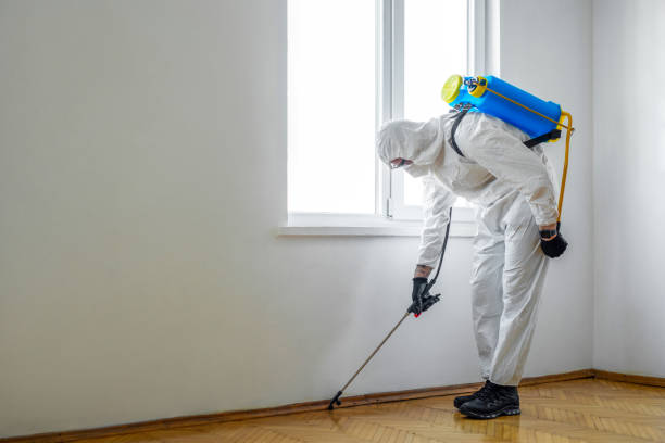 Best Pest Control Near Me in Perryton, TX